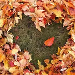 فندق Western Premier Grand Russischer Hof 4*