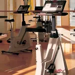 فندق Western Premier Grand Russischer Hof 4*